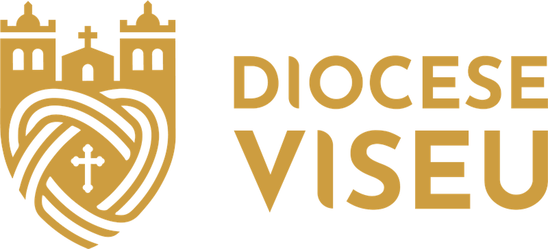 Diocese de Viseu